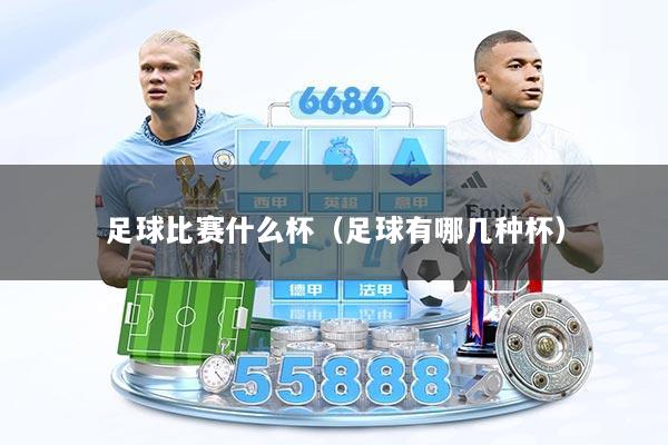 足球比赛什么杯（足球有哪几种杯）